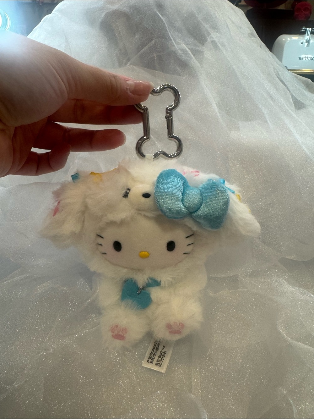 Hello kitty puppy party Maltese dog with bows CONFIRMED